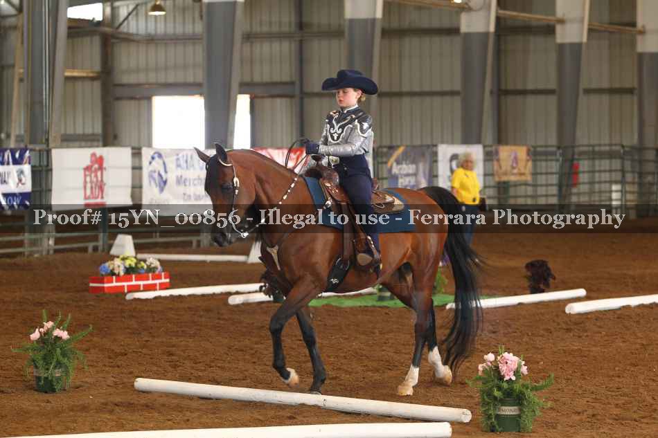 Proof 15YN_00856