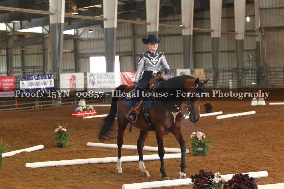 Proof 15YN_00857