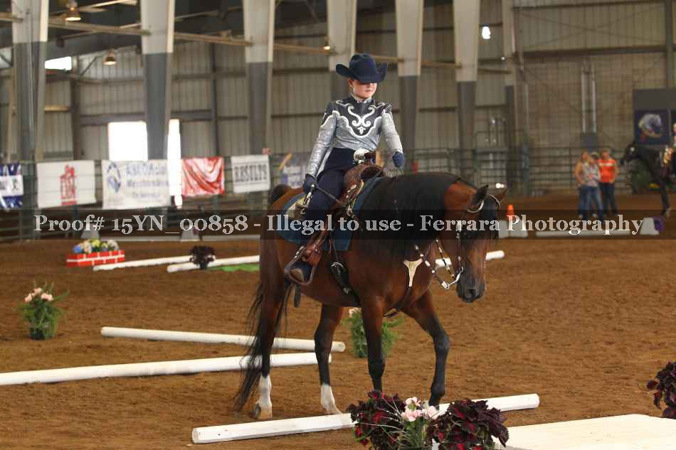Proof 15YN_00858