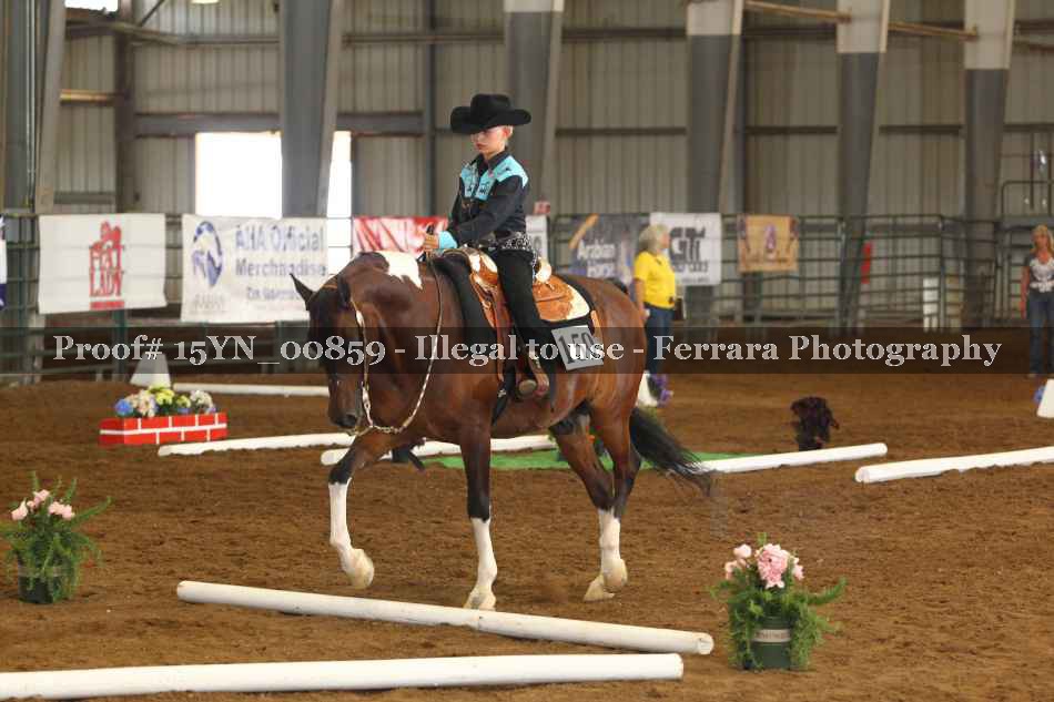 Proof 15YN_00859