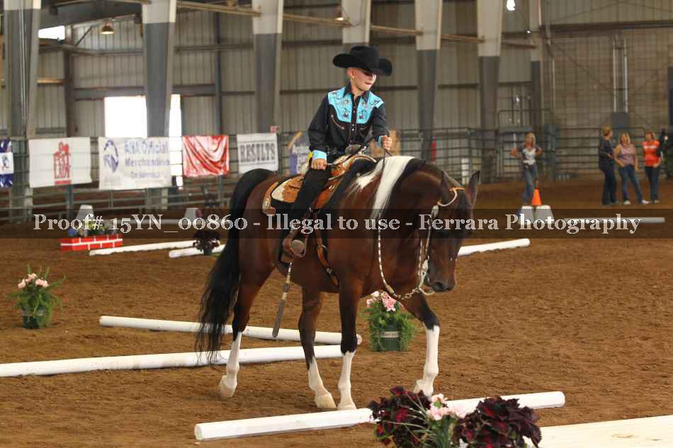 Proof 15YN_00860