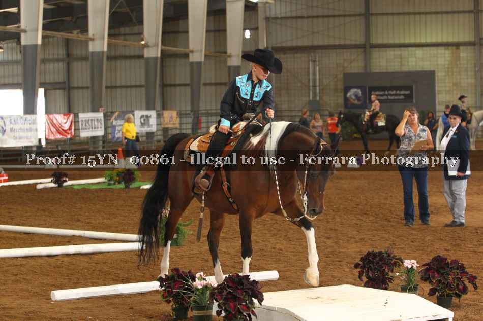 Proof 15YN_00861