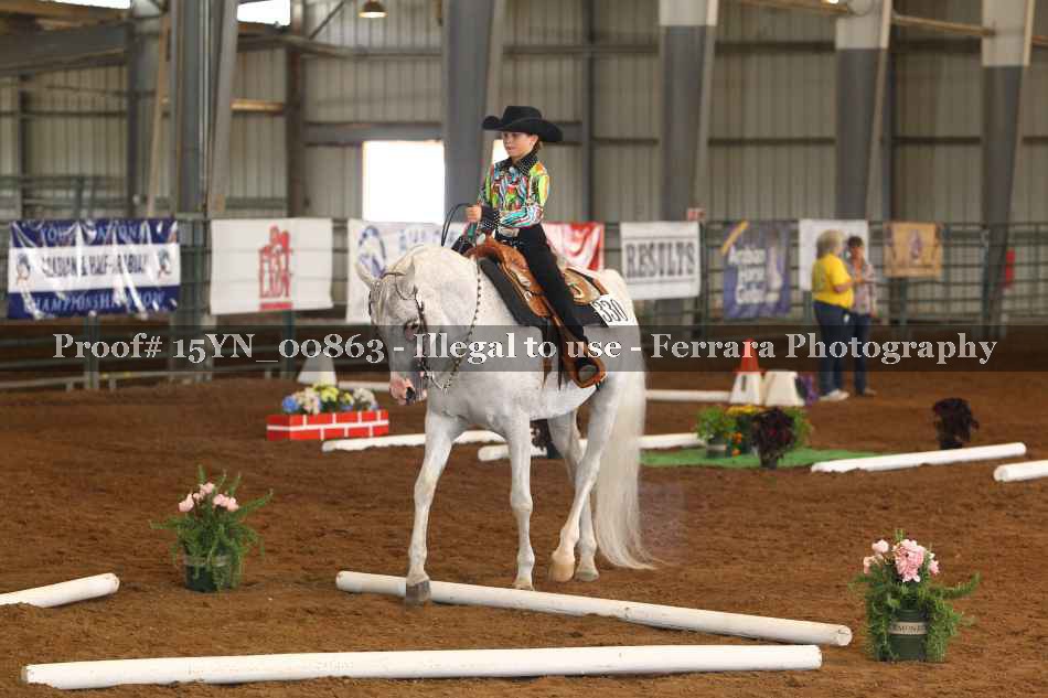 Proof 15YN_00863
