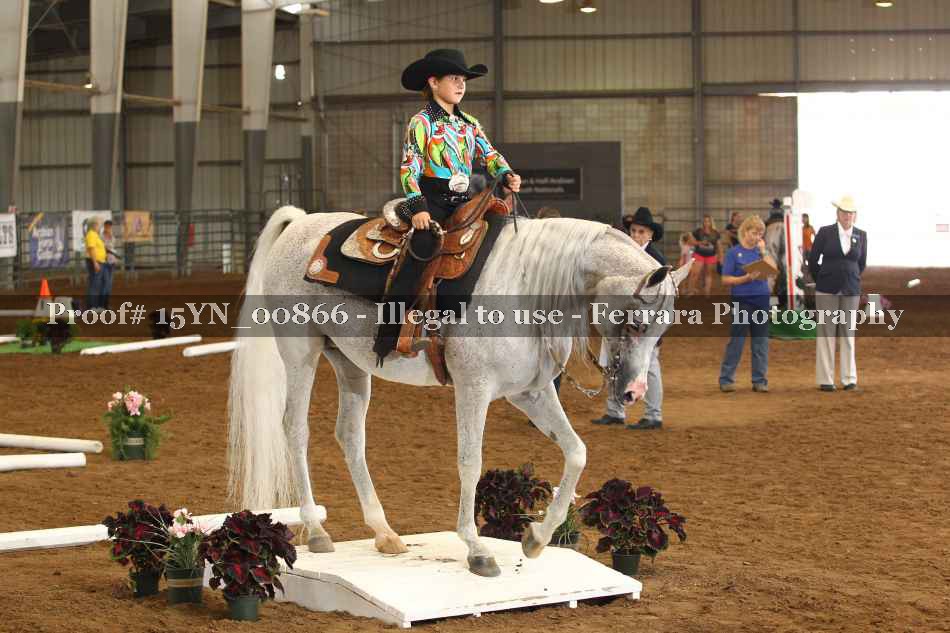 Proof 15YN_00866