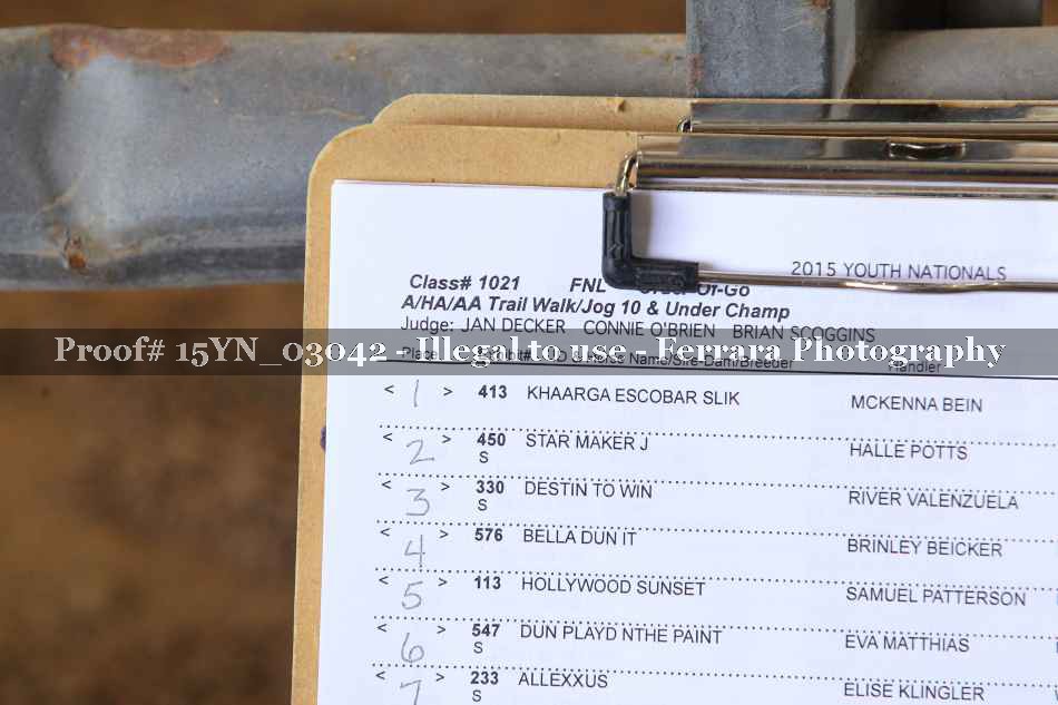 Proof 15YN_03042