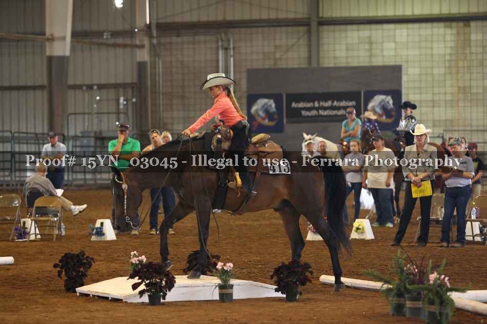Proof 15YN_03045
