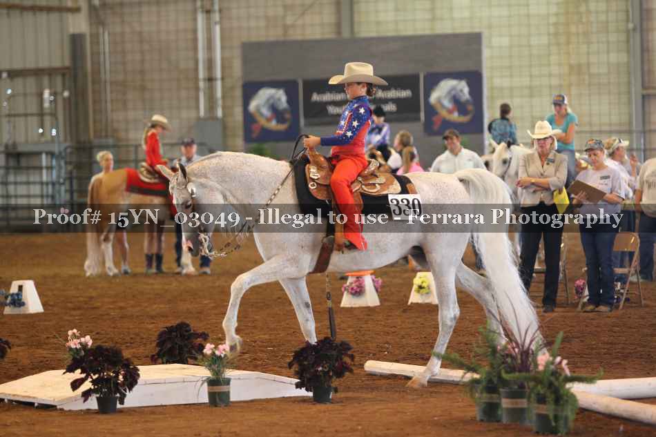 Proof 15YN_03049