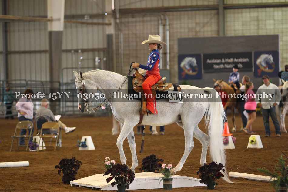 Proof 15YN_03050
