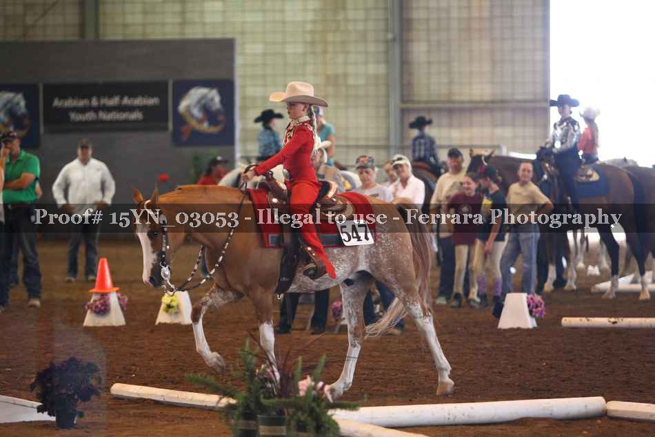 Proof 15YN_03053
