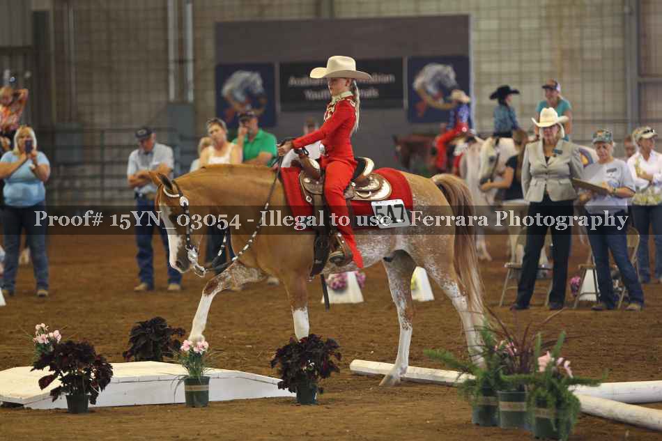 Proof 15YN_03054