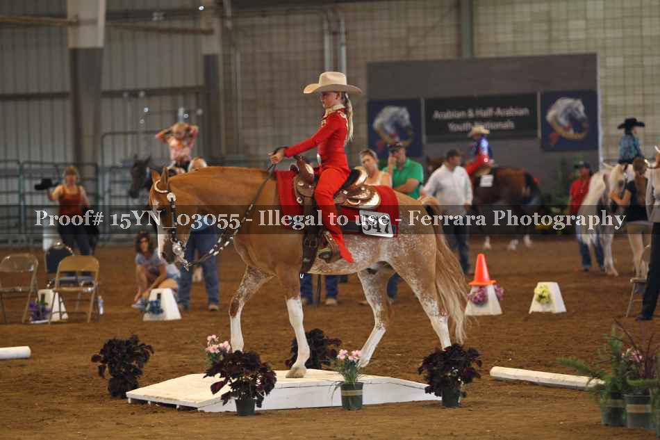 Proof 15YN_03055