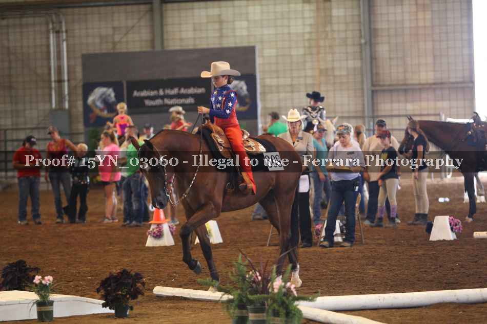 Proof 15YN_03060
