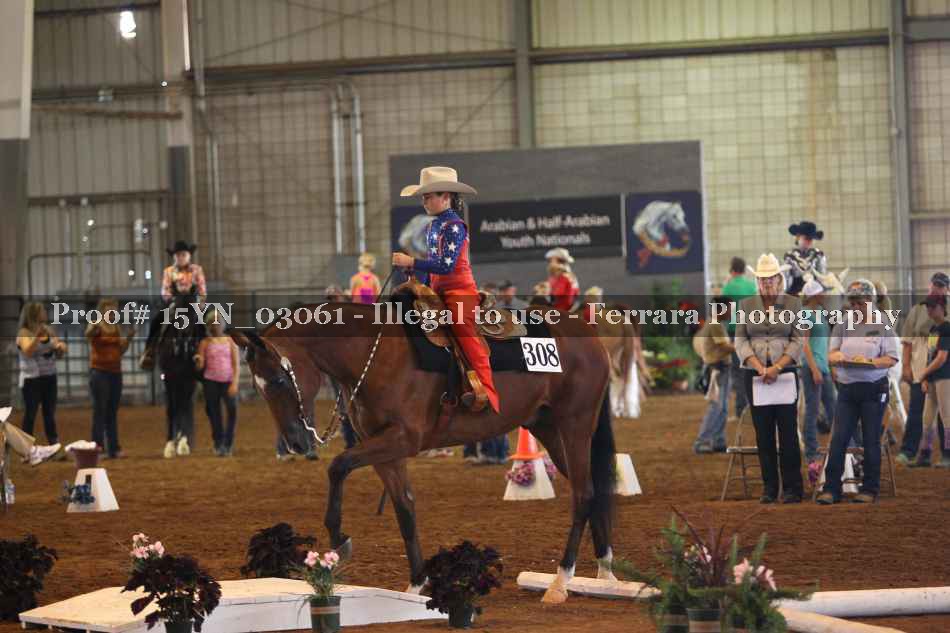 Proof 15YN_03061
