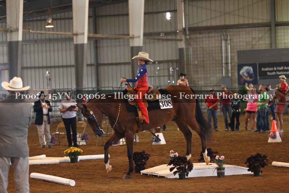 Proof 15YN_03062