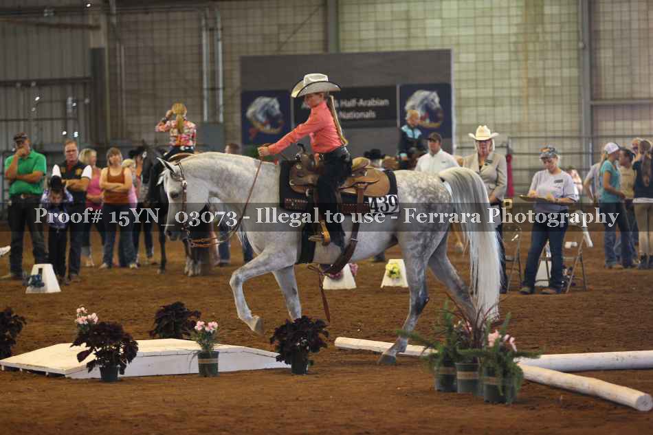 Proof 15YN_03073