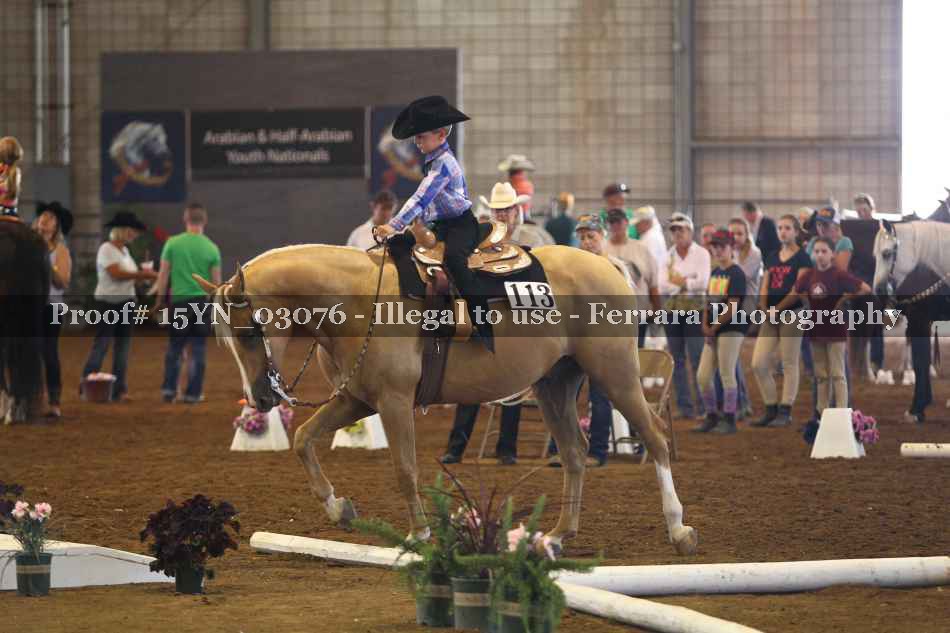 Proof 15YN_03076