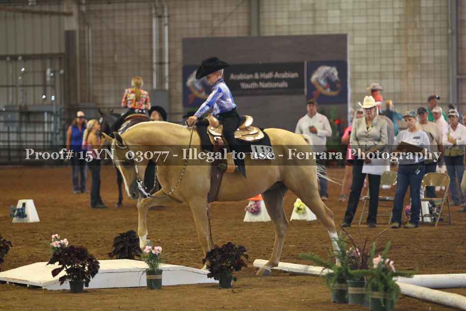 Proof 15YN_03077