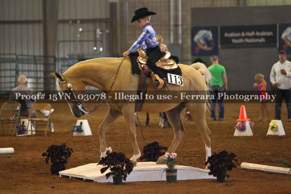 Proof 15YN_03078