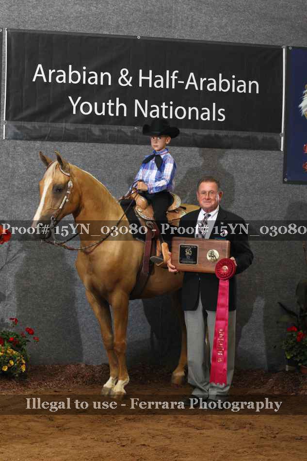 Proof 15YN_03080
