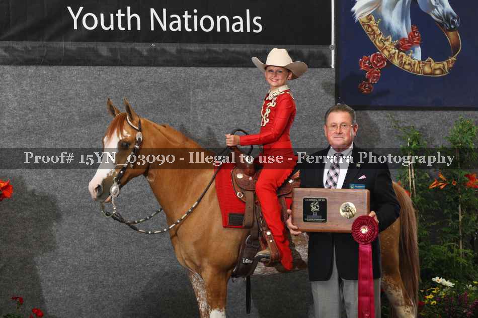 Proof 15YN_03090