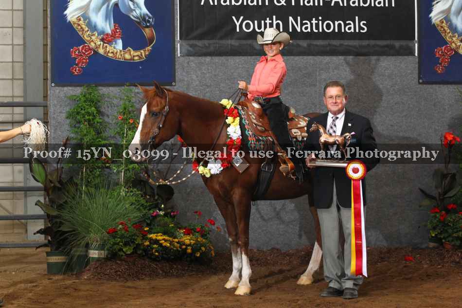 Proof 15YN_03099