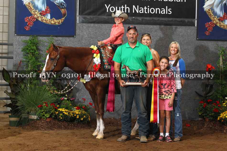 Proof 15YN_03101