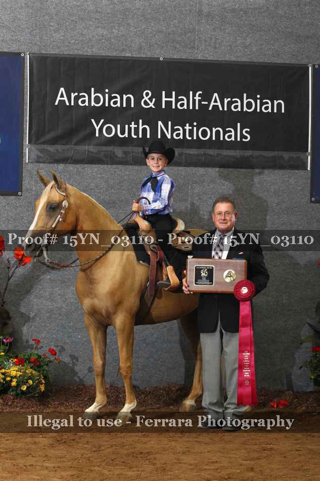 Proof 15YN_03110