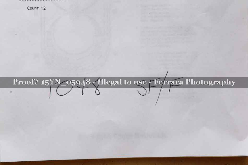 Proof 15YN_05948