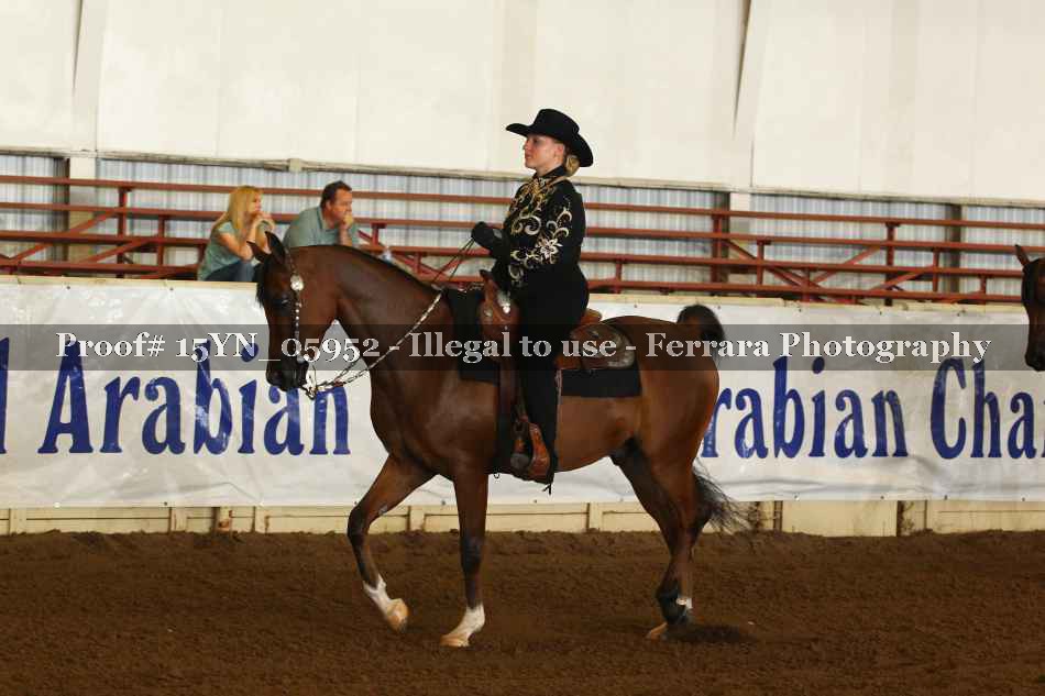 Proof 15YN_05952