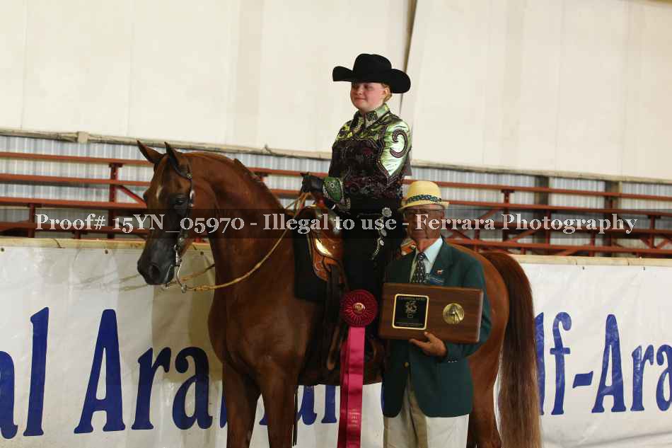 Proof 15YN_05970