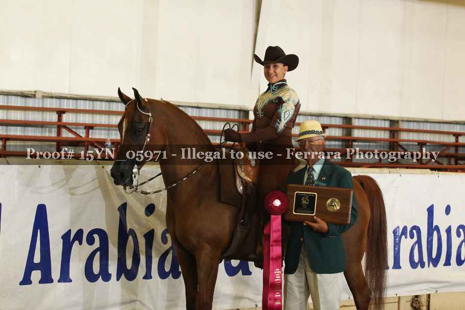 Proof 15YN_05971