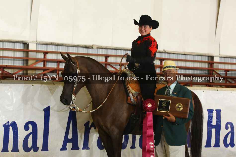 Proof 15YN_05975