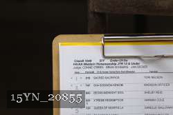 15YN_20855 proof