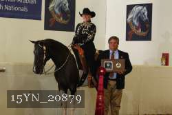 15YN_20879 proof