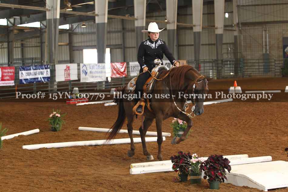 Proof 15YN_00779