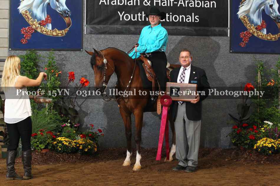 Proof 15YN_03116