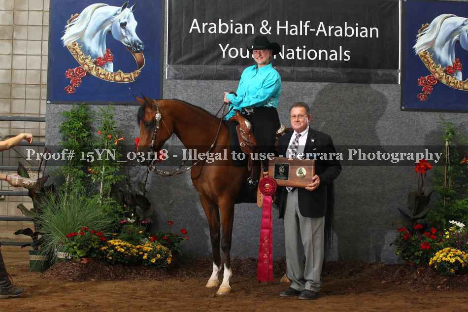 Proof 15YN_03118