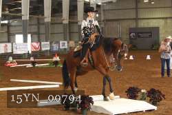 15YN_00794 proof