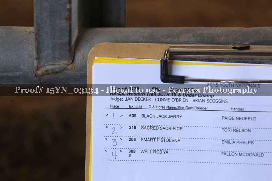 Proof 15YN_03134