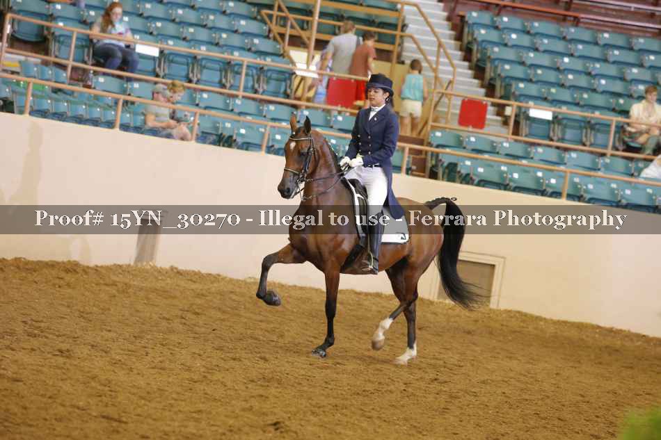 Proof 15YN_30270