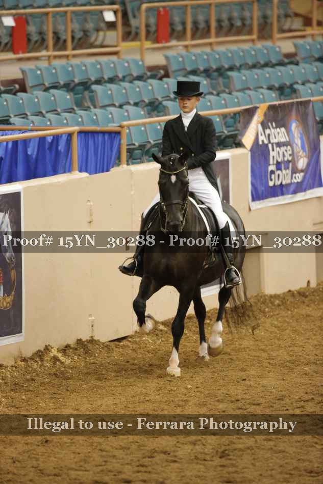 Proof 15YN_30288