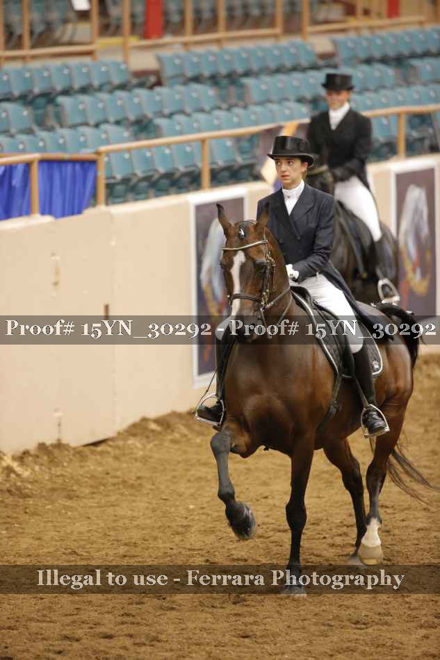 Proof 15YN_30292