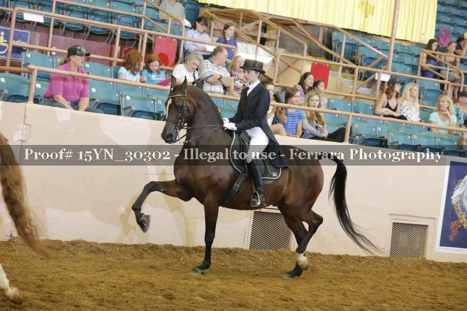 Proof 15YN_30302