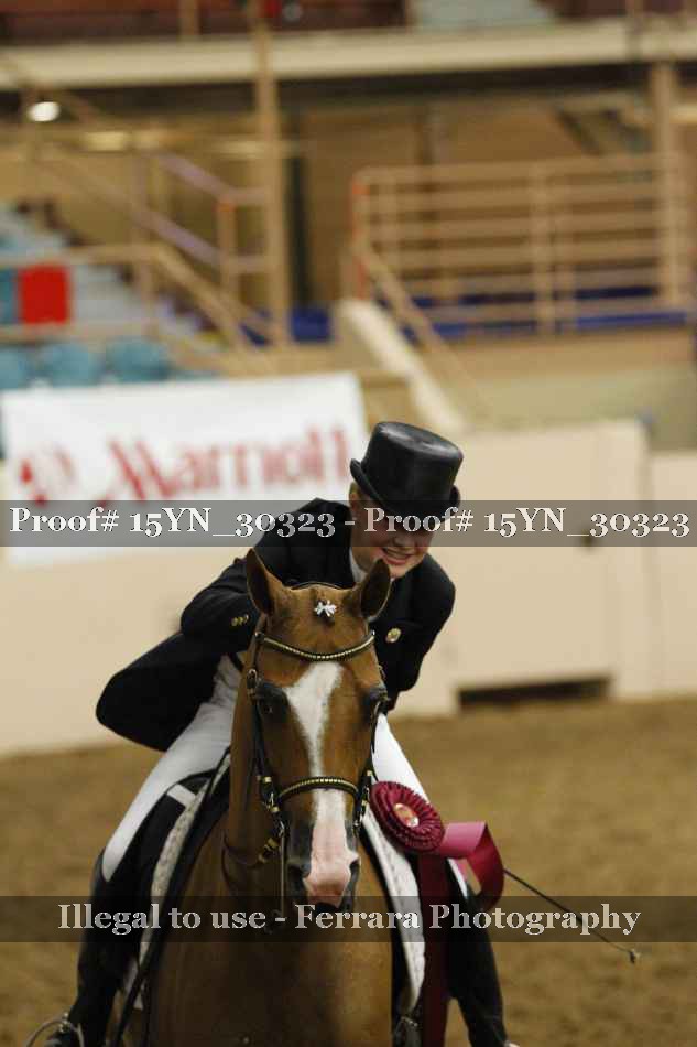 Proof 15YN_30323