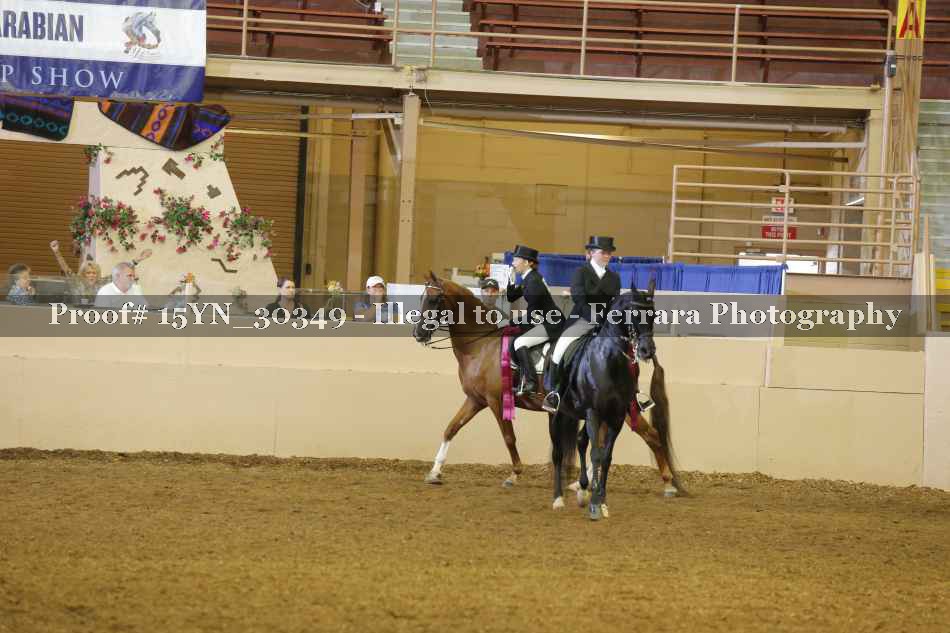 Proof 15YN_30349