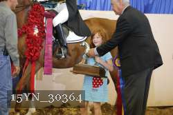 15YN_30364 proof