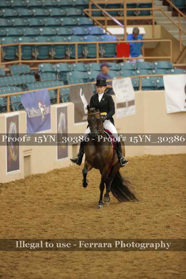 Proof 15YN_30386