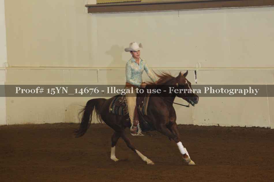 Proof 15YN_14676