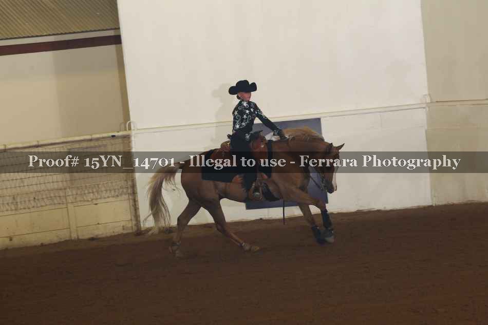 Proof 15YN_14701