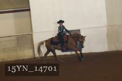 15YN_14701 proof